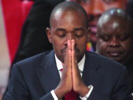 Dear Nelson Chamisa: Your greatest battle is no longer against ZANU PF