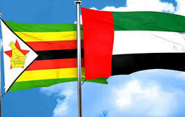 How UAE became Zimbabwe’s top customer, buying half of everything it exports How UAE became Zimbabwe’s top customer, buying half of everything it exports