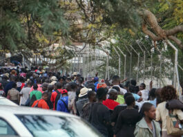 Analysts warn returning Zimbabweans could deepen economic strain Analysts warn returning Zimbabweans could deepen economic strain