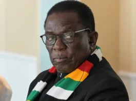 July 31 shutdown collapses as Mnangagwa’s opponents fail to spark mass revolt July 31 shutdown collapses as Mnangagwa’s opponents fail to spark mass revolt